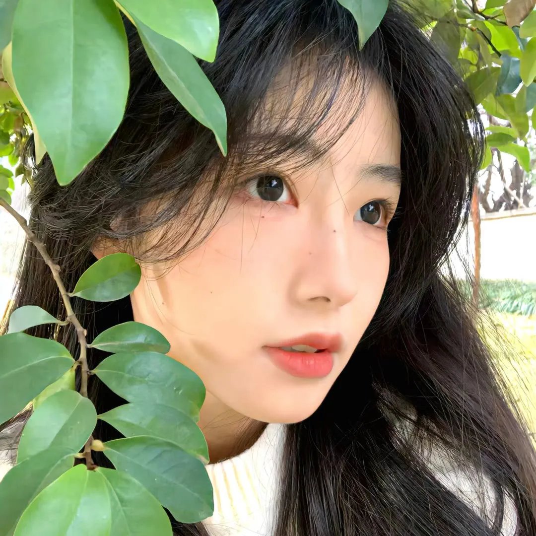 侠义美英雄